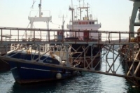 Sipan and Plitvine together in the dock