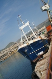 Plitvine in dock