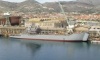 Ibn Ouf leaves