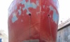 From general cargo carrier to – hatchery